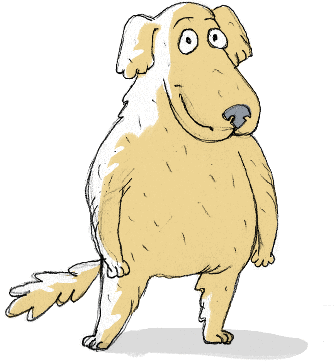 dog